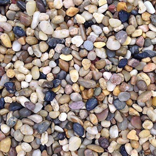 Fish tank aquarium - tank, pea