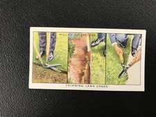 1938 Wills's Garden Hints #17