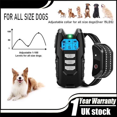 Dog pet training collar - training,