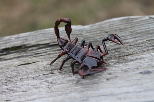 Gift scorpion glass miniature - scorpion,