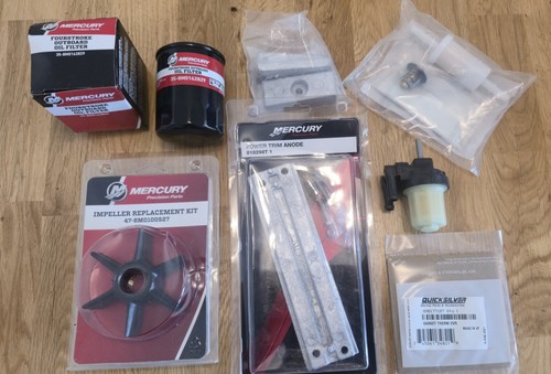 Mercury outboard 60efi - mercury,