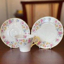 Shelley Rose On Trellis Tea