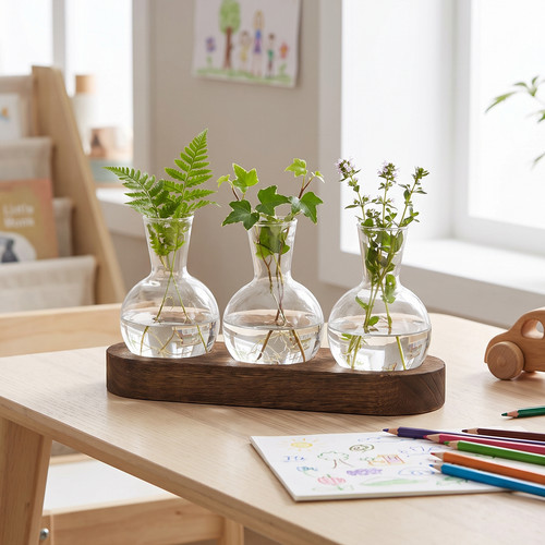 Plant propagation station - plant,