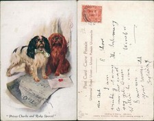 Prince Charles & Ruby Spaniel