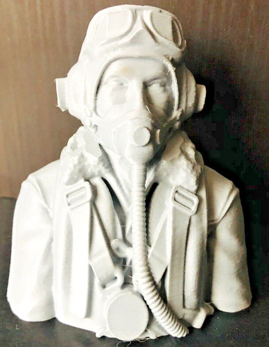 Scale raf pilot made - 1/6,