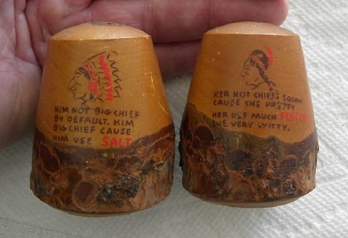 Indian chief squaw - indian,