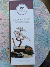Bonsai Tree Kit - Grow Your Own Kits Bonsai Tree Indoor Plant