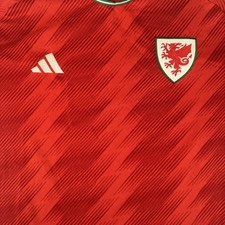 Rare Original Wales 2022/2023