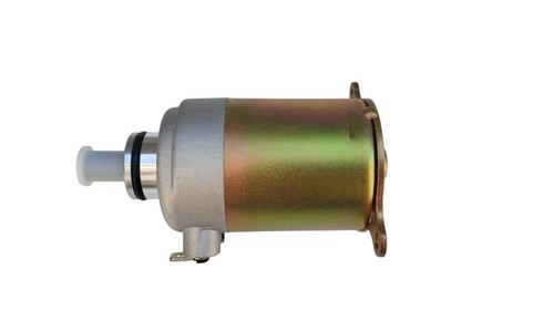 Electric starter motor for - electric,