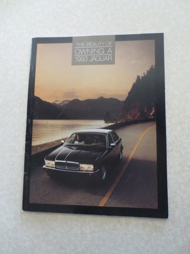 1993 beauty owning - beauty,