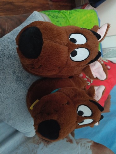 Scooby doo novelty - doo, slippers