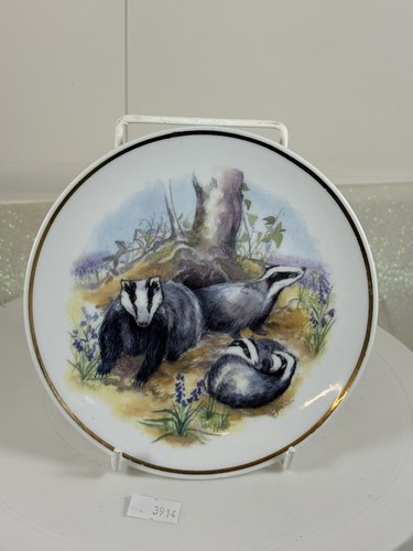 Vintage collectable plate - collectable,