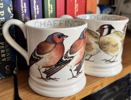 Emma bridgewater garden - 2,