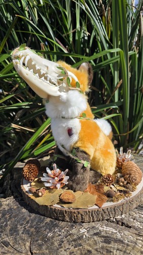 Fox plushy with real - with, skull