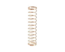 Valve spring yamaha cornet - spring,