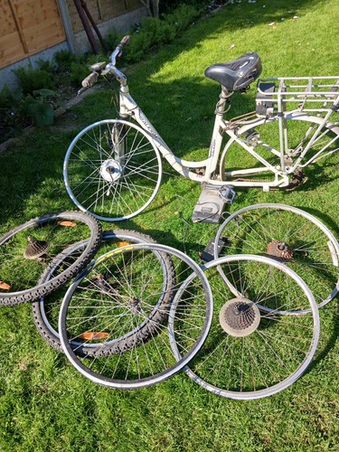 Raleigh women bicycle - women's, bicycle.