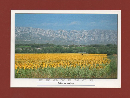Montagne sainte victoire - montagne,