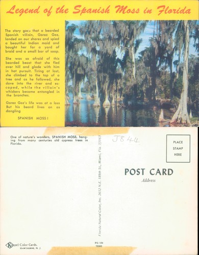 Spanish moss florida united - spanish,