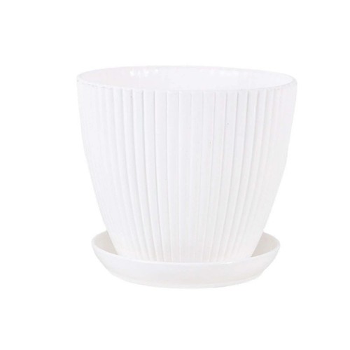 Plant pots indoor - plant, outdoor