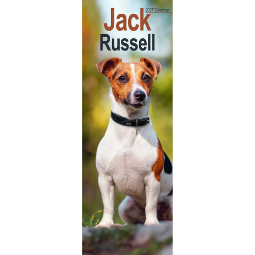 Jack russell slim 2027 - jack,