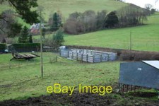 Photo 6x4 New cattle handling