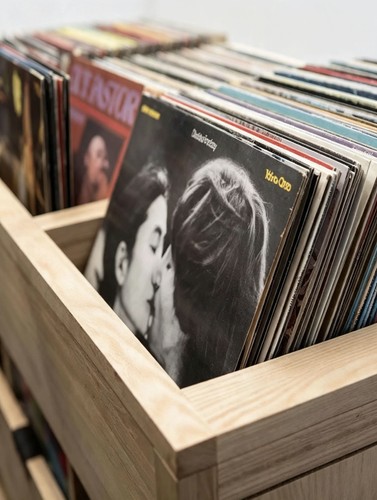 All vinyl records you - records,