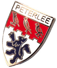 Peterlee Town Small Pin Badge