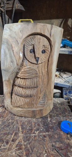 Chainsaw carving owl - owl, wood