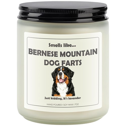 Unique bernese mountain dog - mountain,
