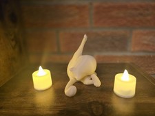 Funny Cat Ornament Humour pet