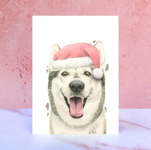 Single pom husky christmas - husky,