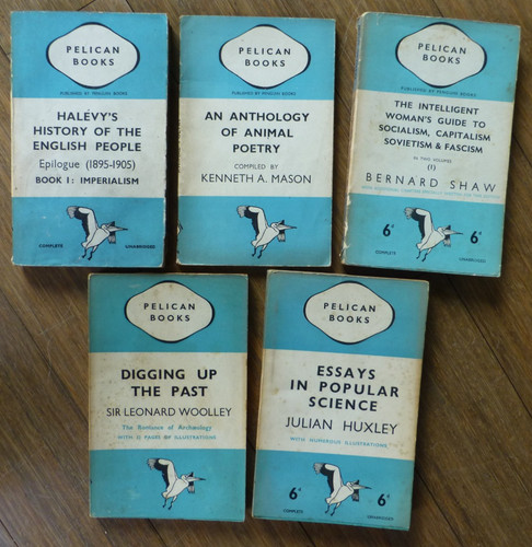 Vintage penguin pelican - vintage,