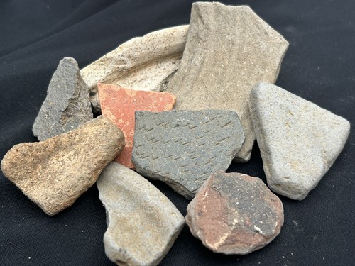 Roman pottery fragments - roman,