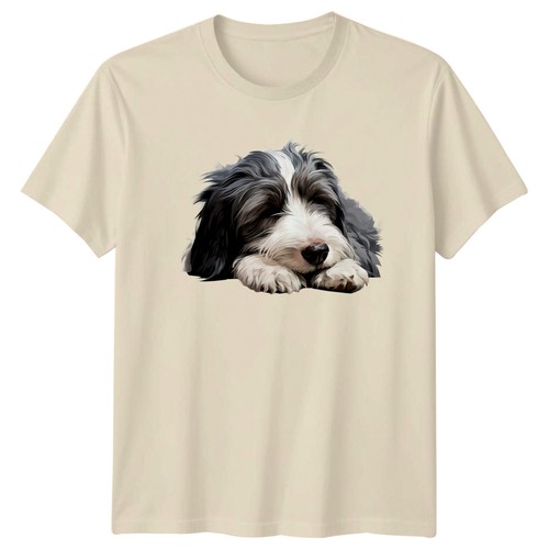 Bearded collie puppy - bearded,