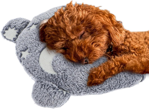 Pillow for cats puppy - for,