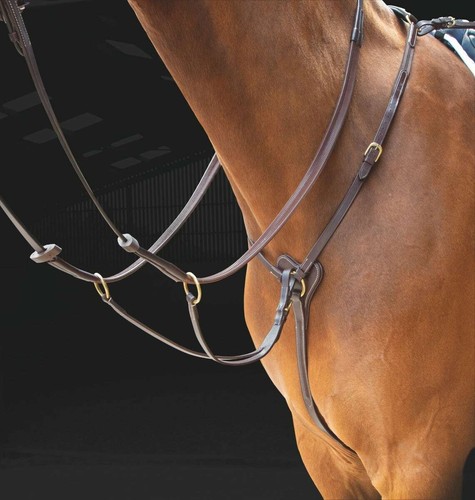 Shires salisbury leather - shires, 3