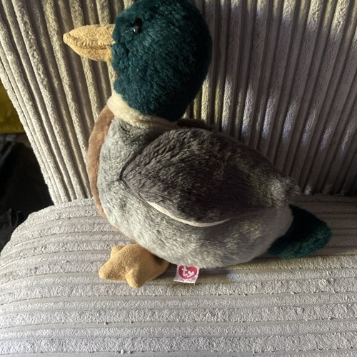 Mallard duck buddy - mallard,
