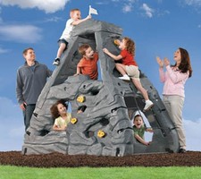 Step2 Skyward Summit rock climbing wall / frame. Outdoor toy /play equipment. 