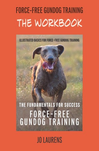 The workbook force - workbook:, force-free