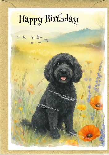Cockapoo doodle dog - doodle, birthday