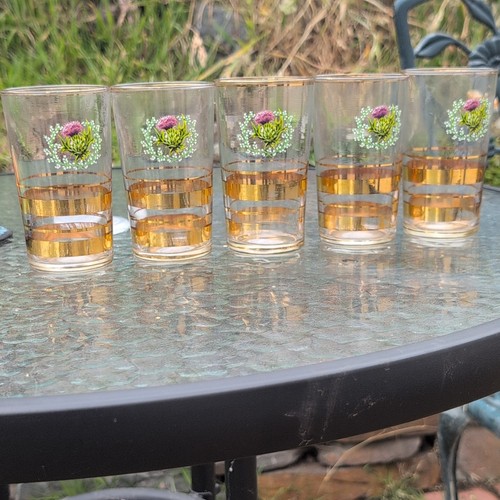 Clear glass tumblers set - tumblers, 5