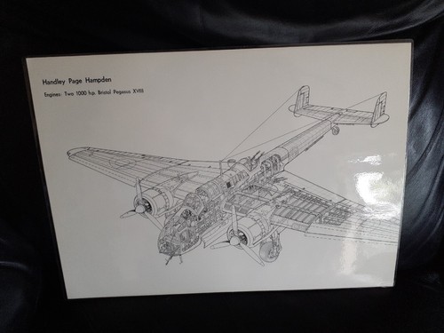 Laminated aircraft cutaway - laminated,