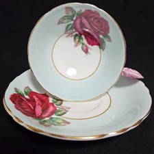 1934 antique paragon rose - paragon,