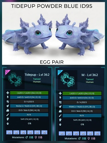 Tidepup top status breeding - top,