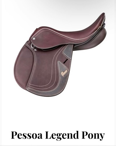 Brand new pessoa - legend, pony