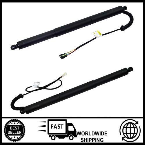 Electric tailgate gas - 2x,