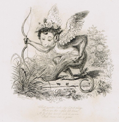 Antique thomas landseer - antique,