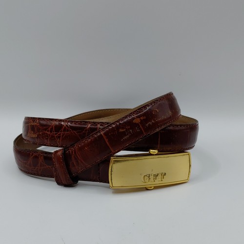 Elegant brown snake - elegant,