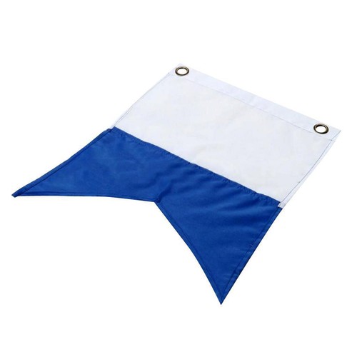 Large dive boat - dive, flag