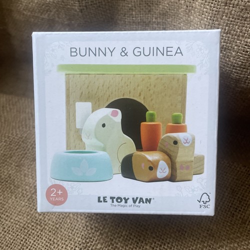 Bunny rabbit guinea - guinea, pig
